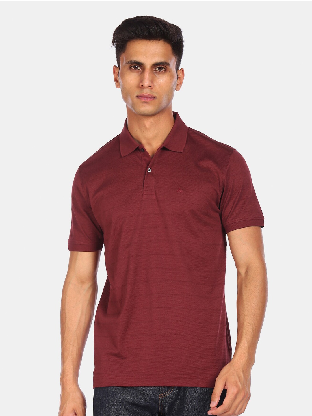 

Arrow Men Red Striped Polo Collar Cotton T-shirt