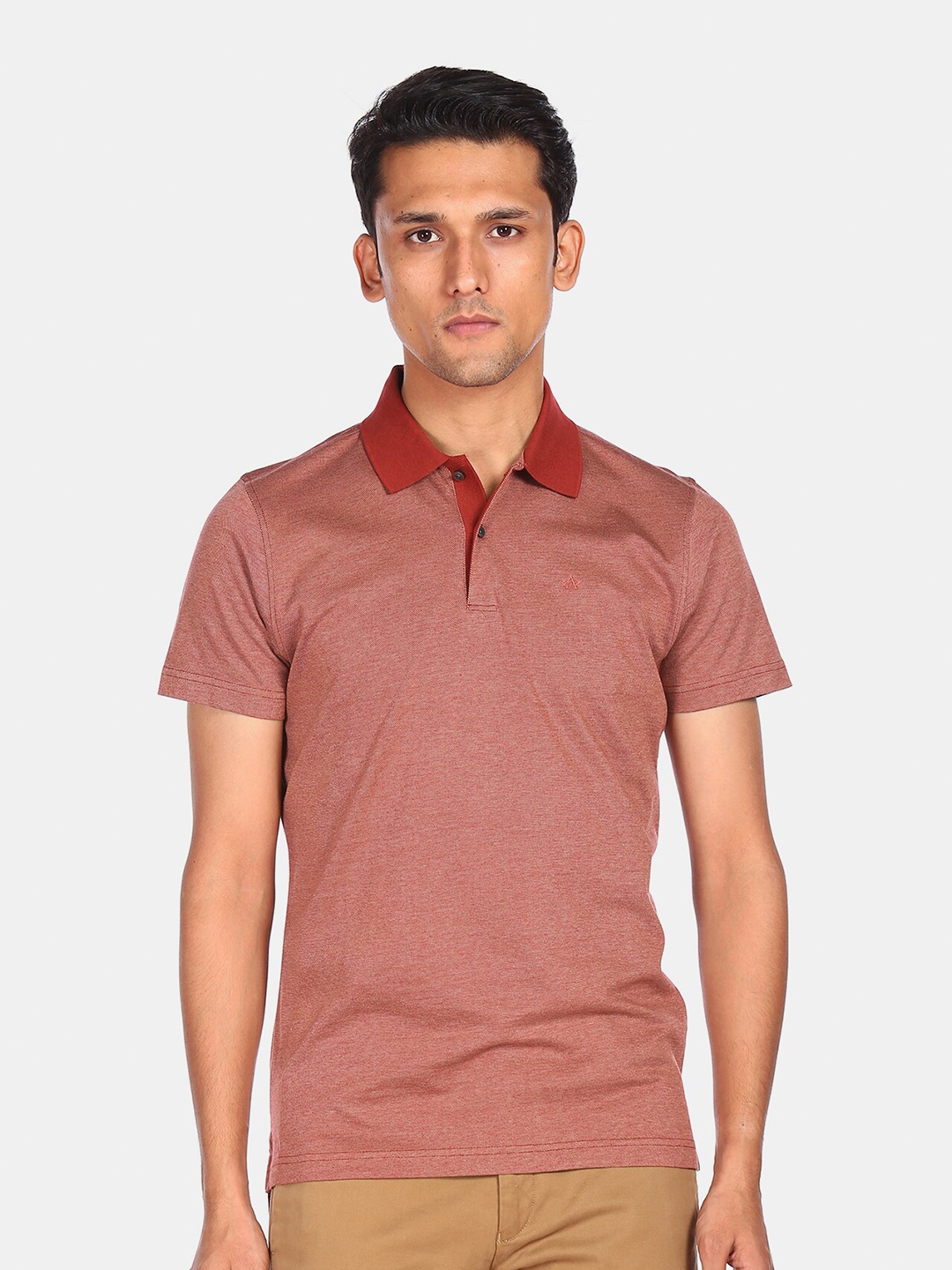 

Arrow Men Rust Polo Collar T-shirt