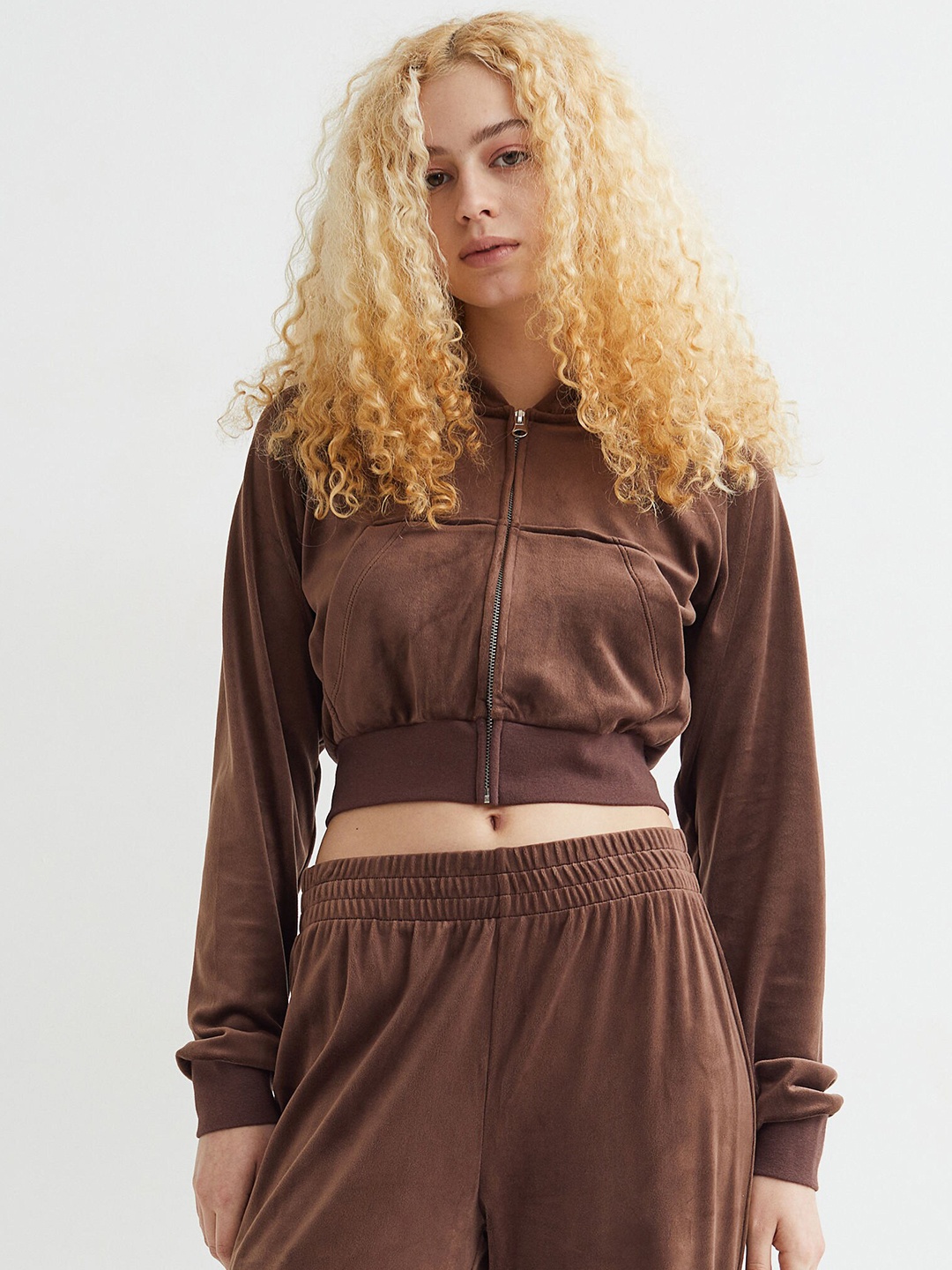 

H&M Women Brown Cropped Velour Hoodie