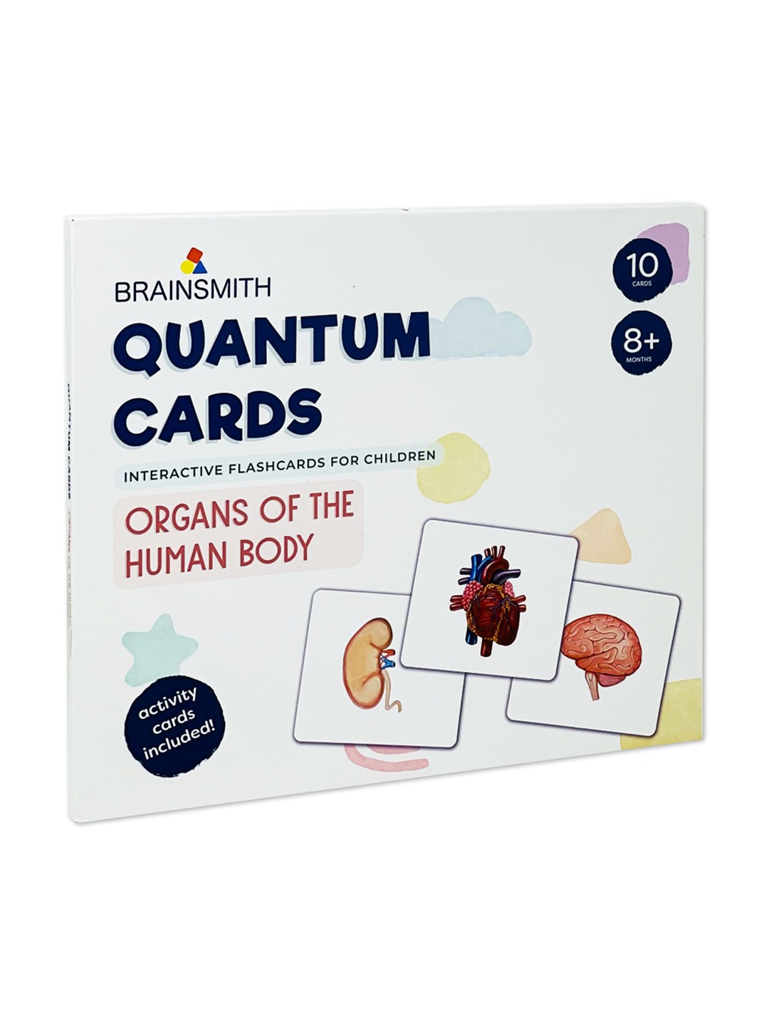 

Brainsmith Organs of the Human Body Quantum Cards, White