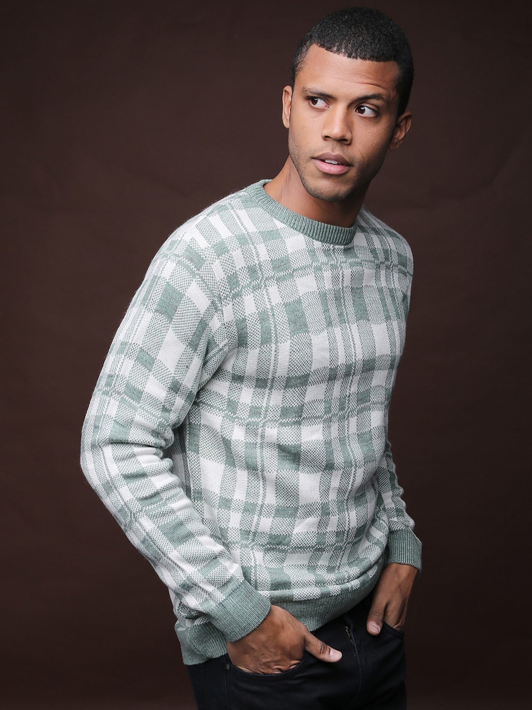 

Campus Sutra Men Green & White Checked Round Neck Pullover