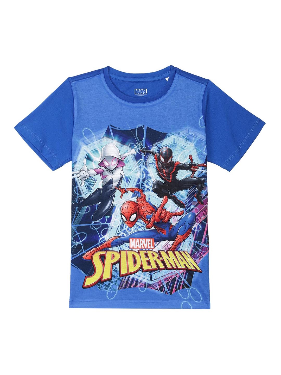 

Marvel by Wear Your Mind Boys Blue Printed Spiderman Applique T-shirt