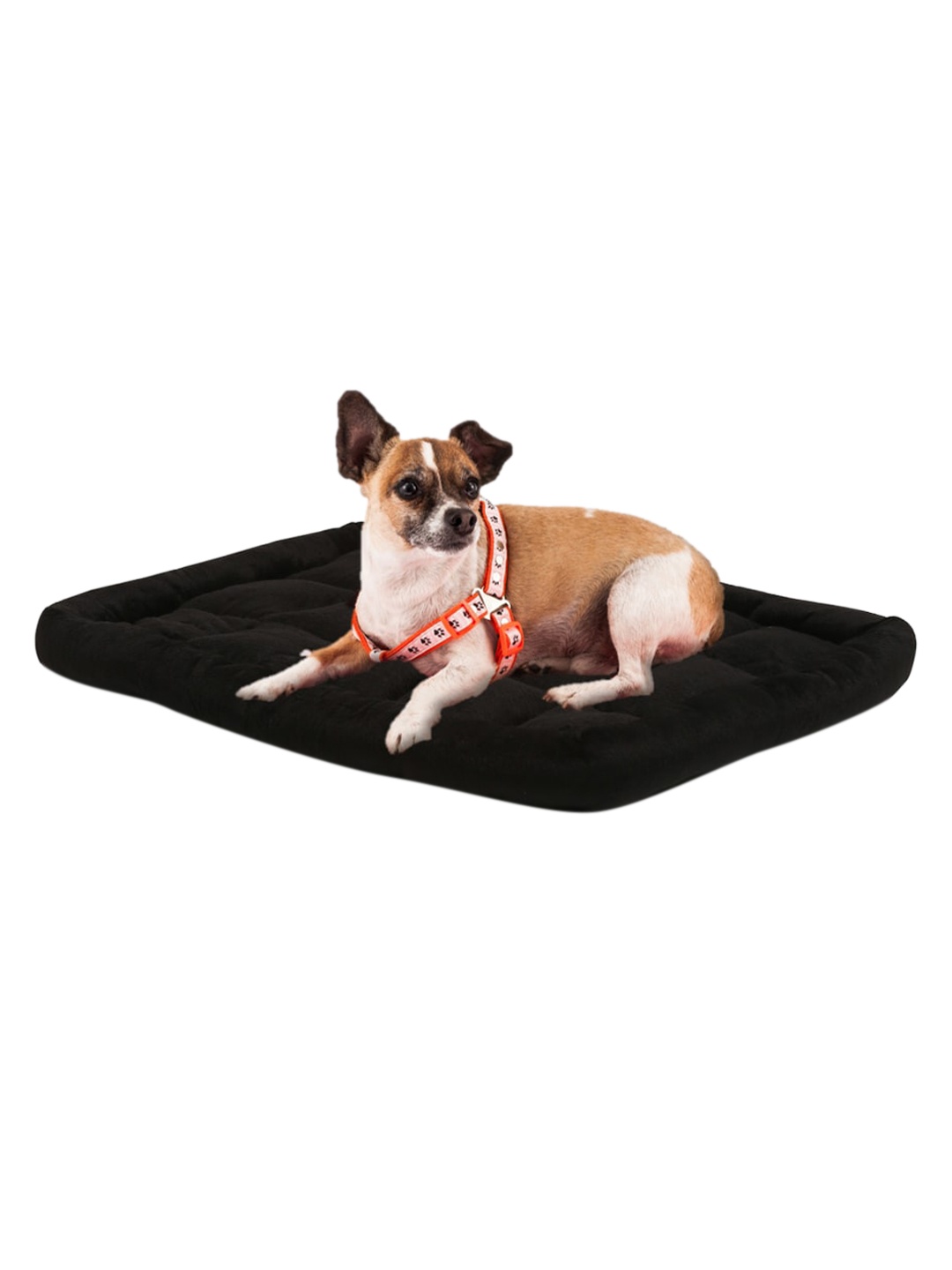 

WIGGLE TWIDDLE Black Solid Pet Mats