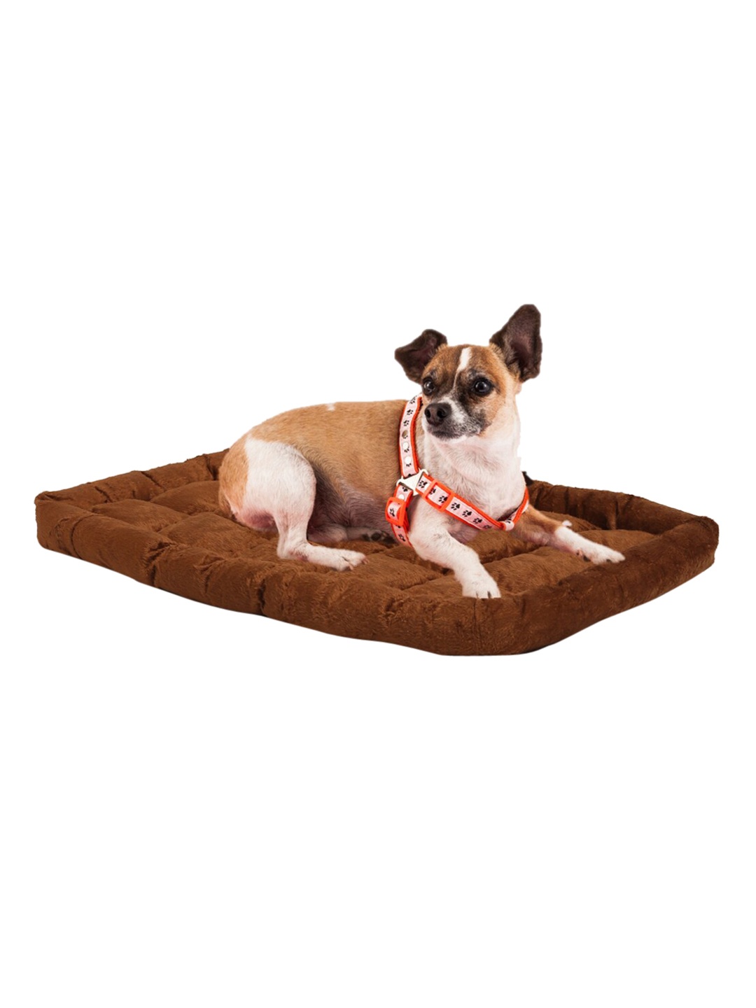 

WIGGLE TWIDDLE Brown Pet Mat