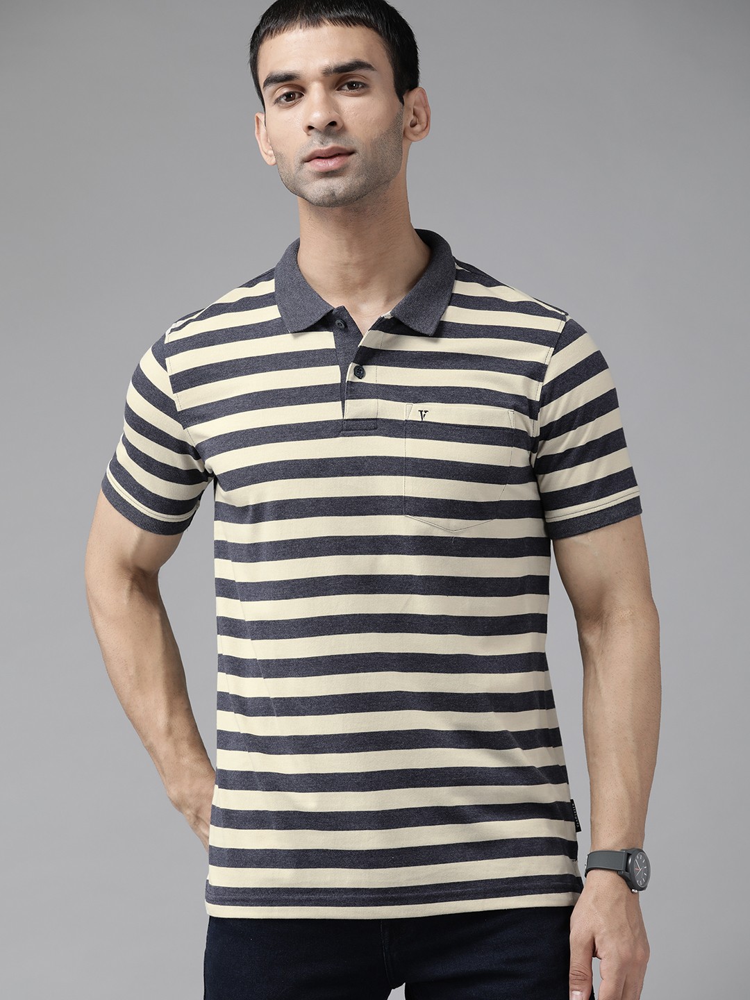 

Van Heusen Sport Men Navy Blue & Beige Striped Polo Collar T-shirt
