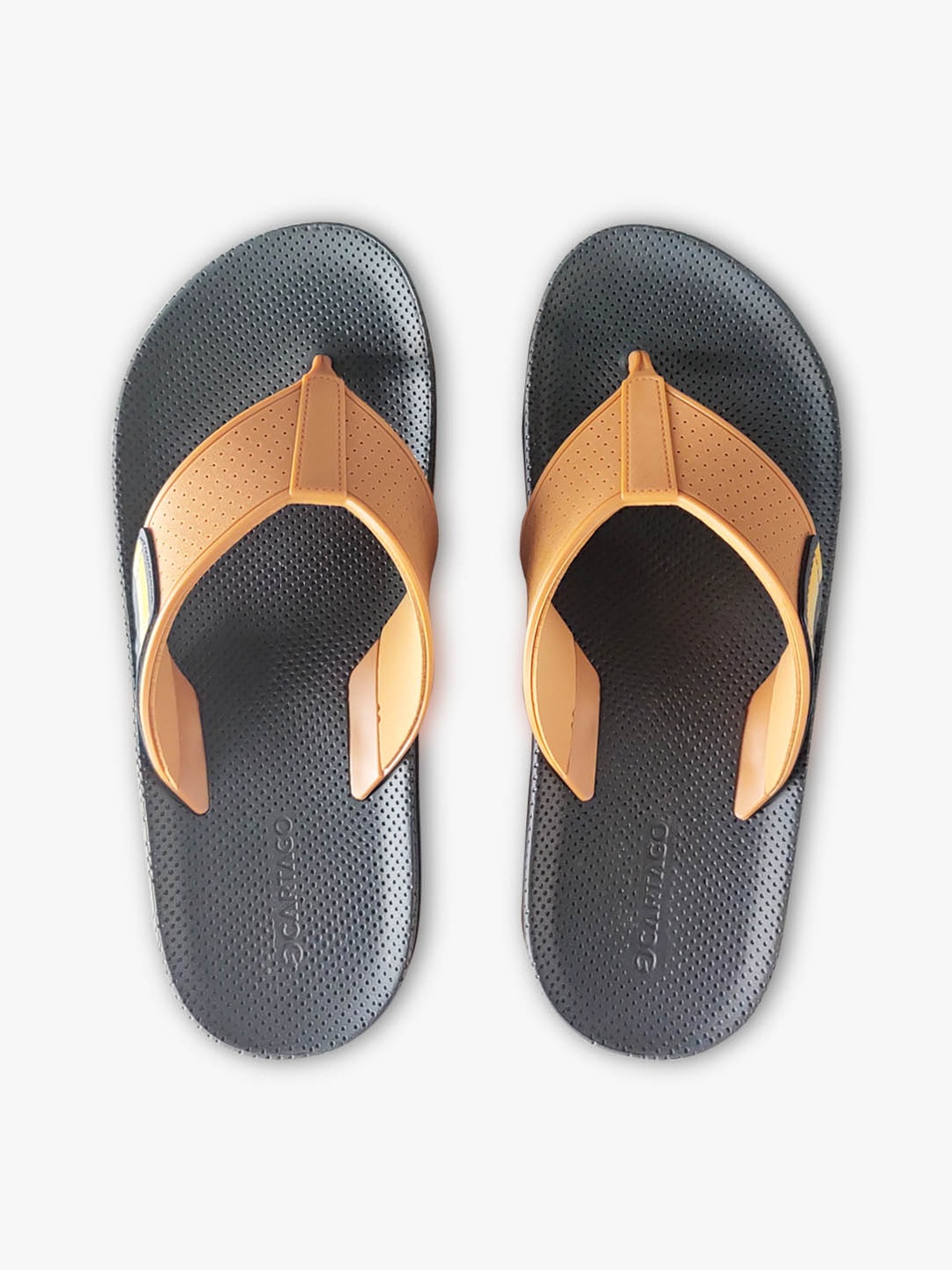 

CARTAGO Men Blue & Beige Thong Flip-Flops