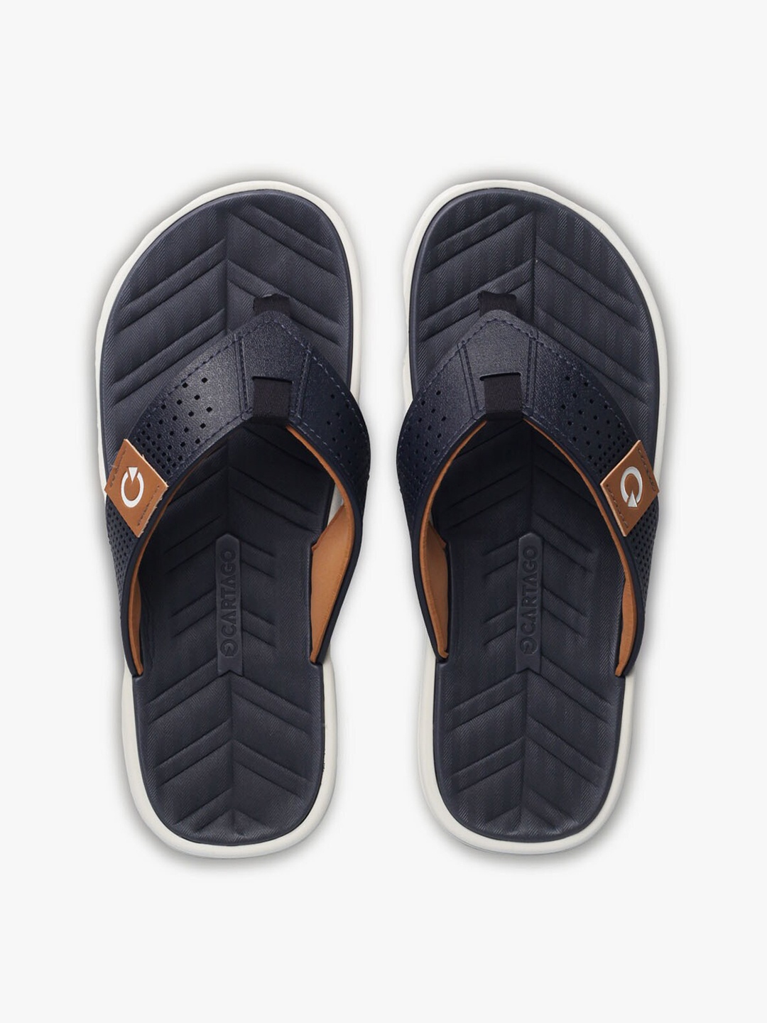

CARTAGO Men Blue & Brown Thong Flip-Flops