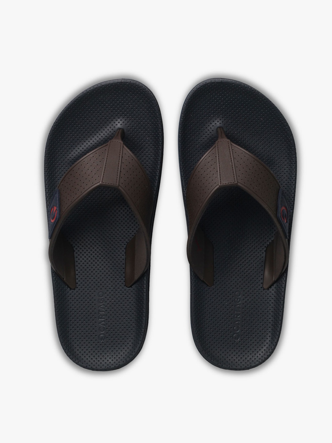 

CARTAGO Men Blue & Brown Thong Flip-Flops