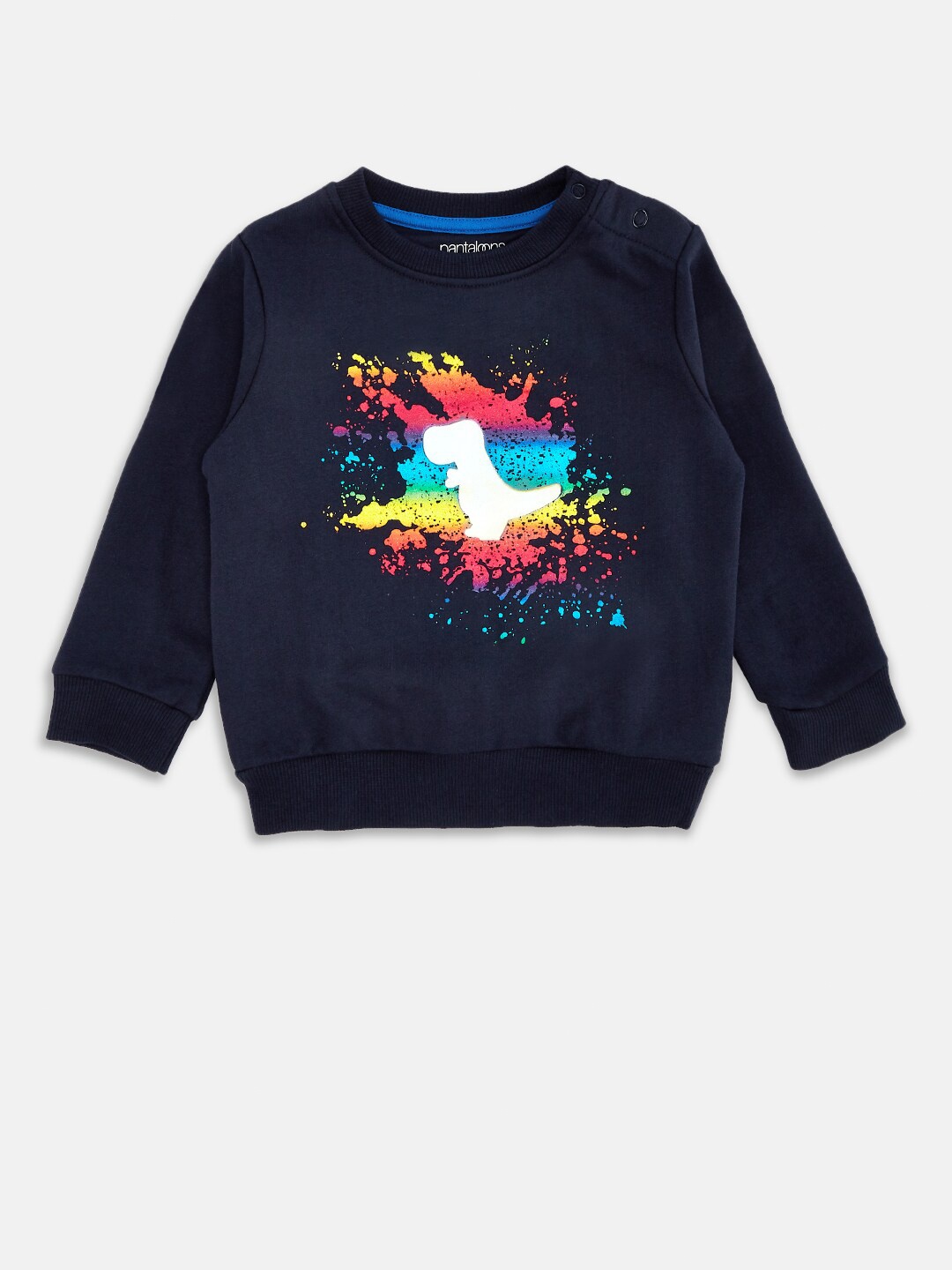 

Pantaloons Baby Boys Navy Blue Printed Sweatshirt