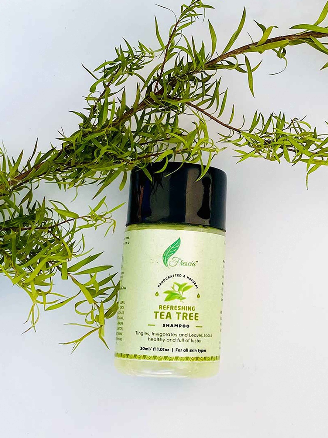 

Frescia Green Tea Tree Shampoo 30 Ml