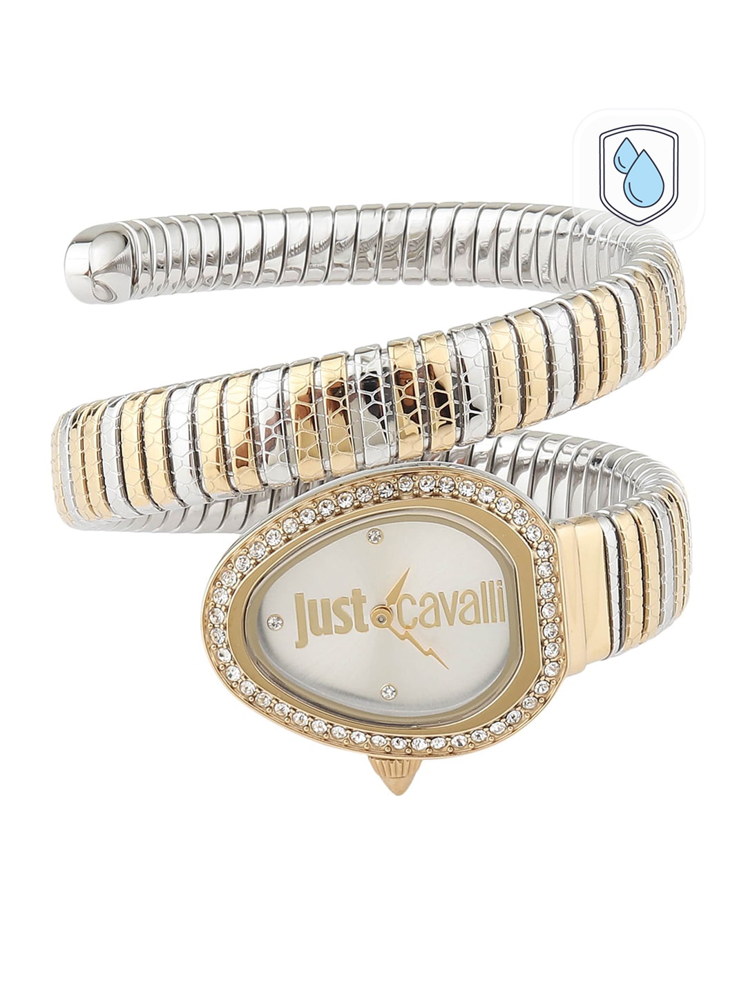 

Just Cavalli Women Silver-Toned Brass Dial & Multicoloured Stainless Steel Bracelet Style Straps Analogue Watch, Multi