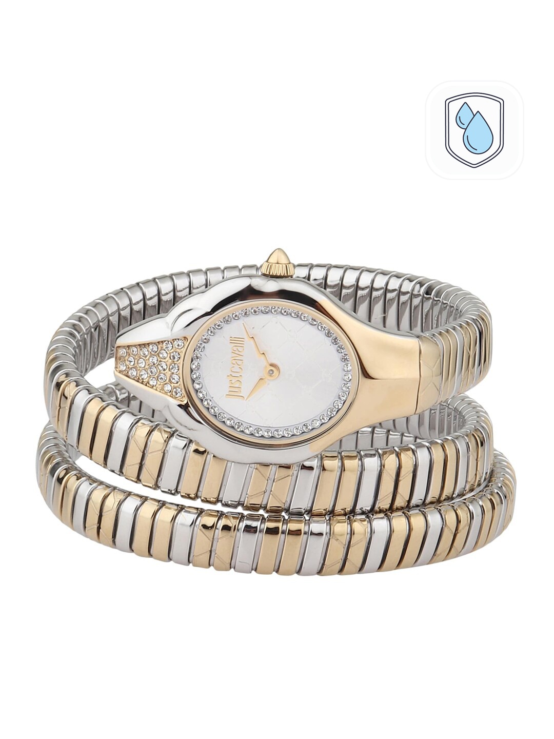 

Just Cavalli Women Silver-Toned Brass Embellished Dial & Multicoloured Stainless Steel Bracelet Style Straps Watch, Multi