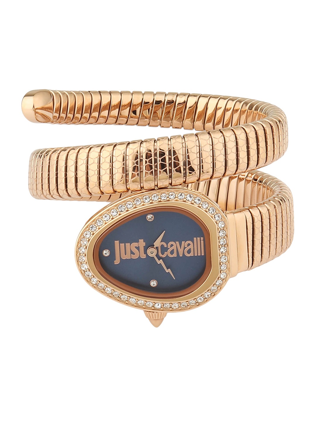 

Just Cavalli Women Blue Brass Embellished Dial & Rose Gold-Plated Stainless Steel Straps Analogue Watch