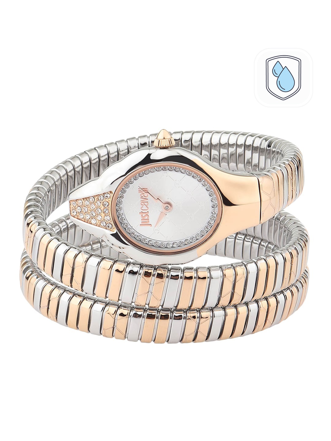 

Just Cavalli Women Silver-Toned Brass Embellished Dial & Multicoloured Stainless Steel Bracelet Style Straps Watch, Multi