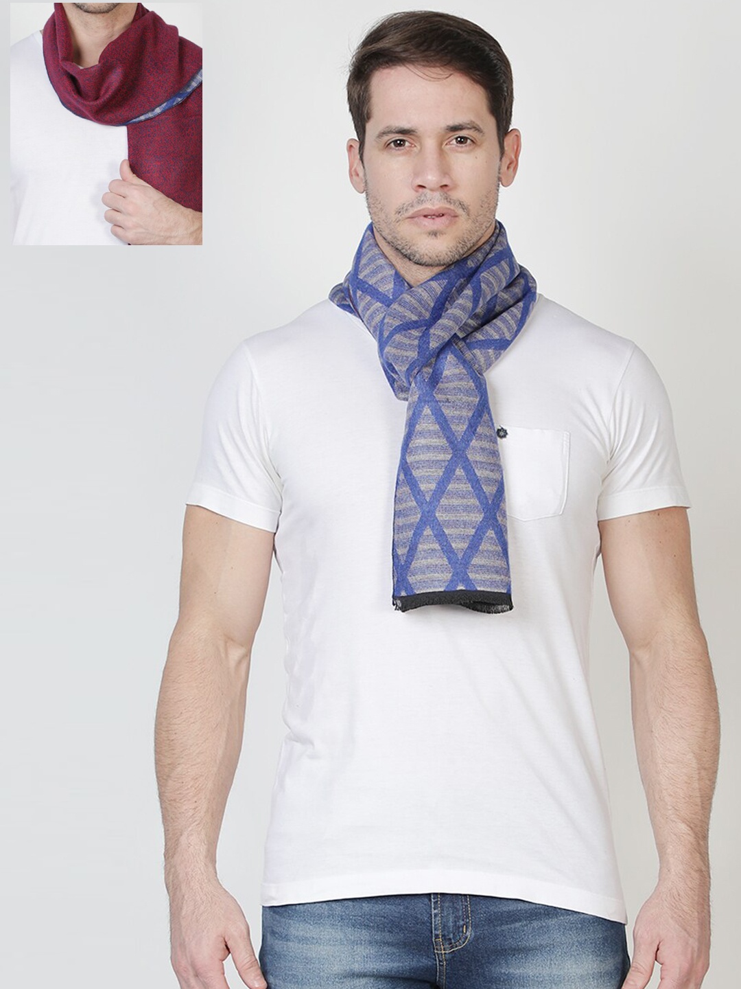 

Alvaro Castagnino Men Red & Blue Printed Reversible Muffler