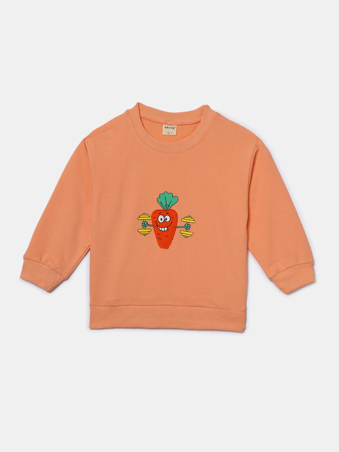 

Hopscotch Girls Orange Printed Sweatshirt