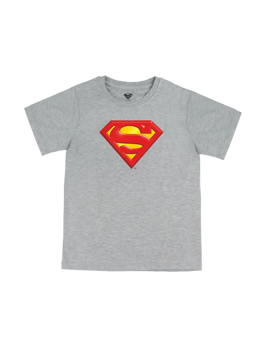 

DC by Wear Your Mind Boys Grey Superman Printed Applique T-shirt