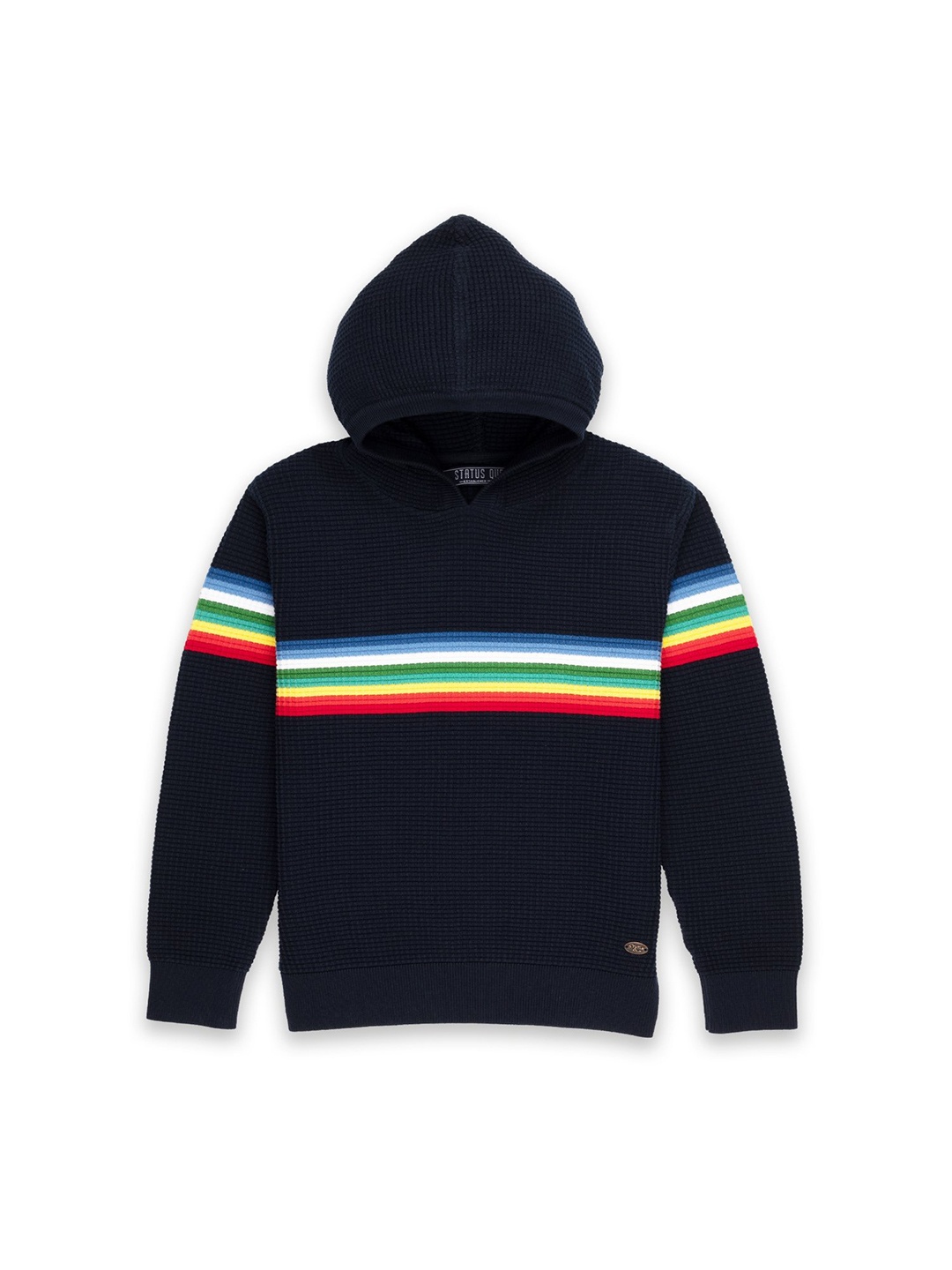 

Status Quo Boys Navy Blue Striped Cotton Hooded Pullover