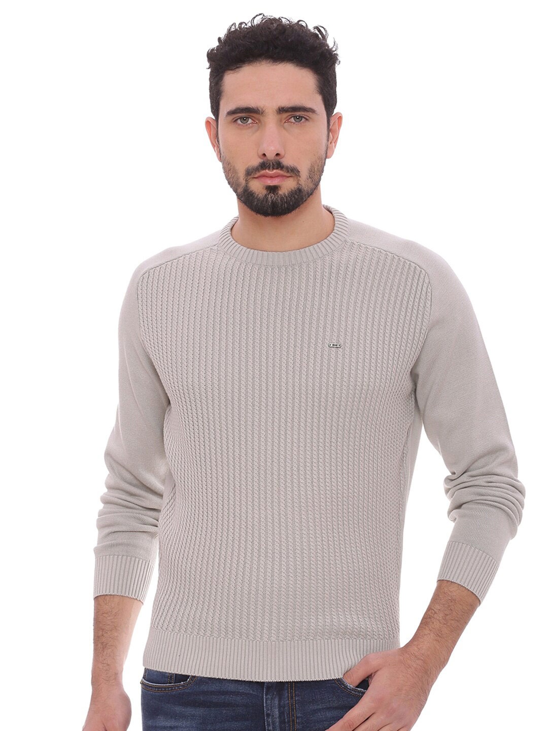 

Basics Men Grey Solid Pullover