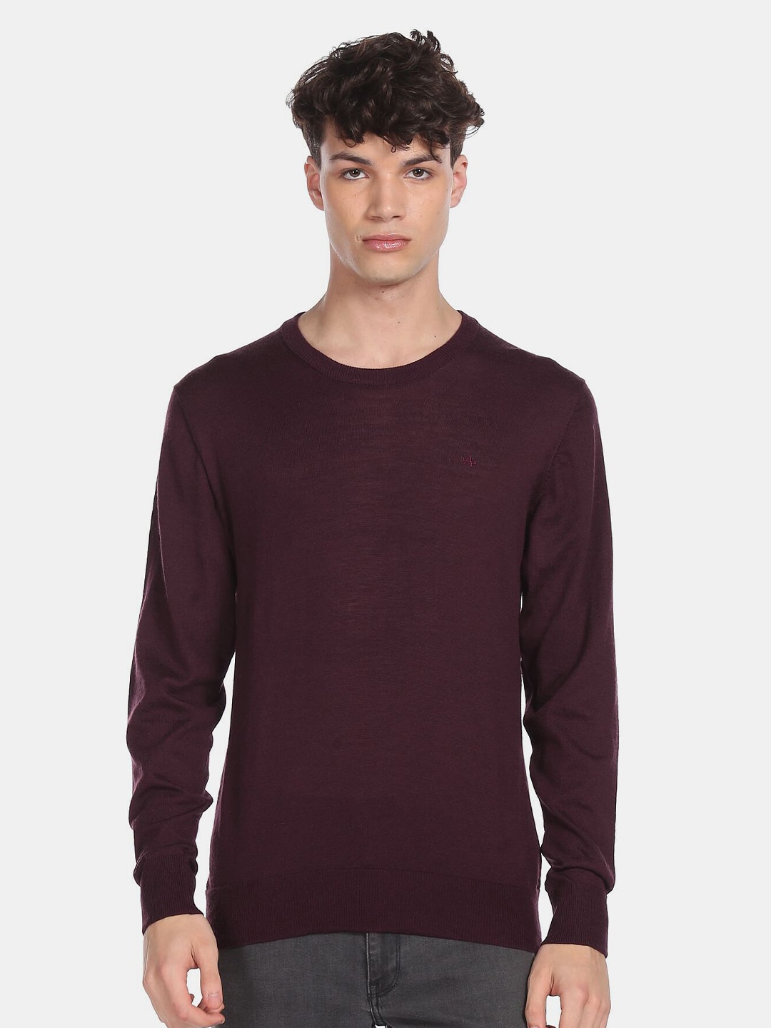 

Arrow Men Mauve Pullover