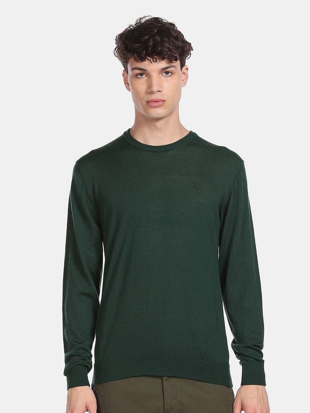 

Arrow Men Green Woolen Pullover