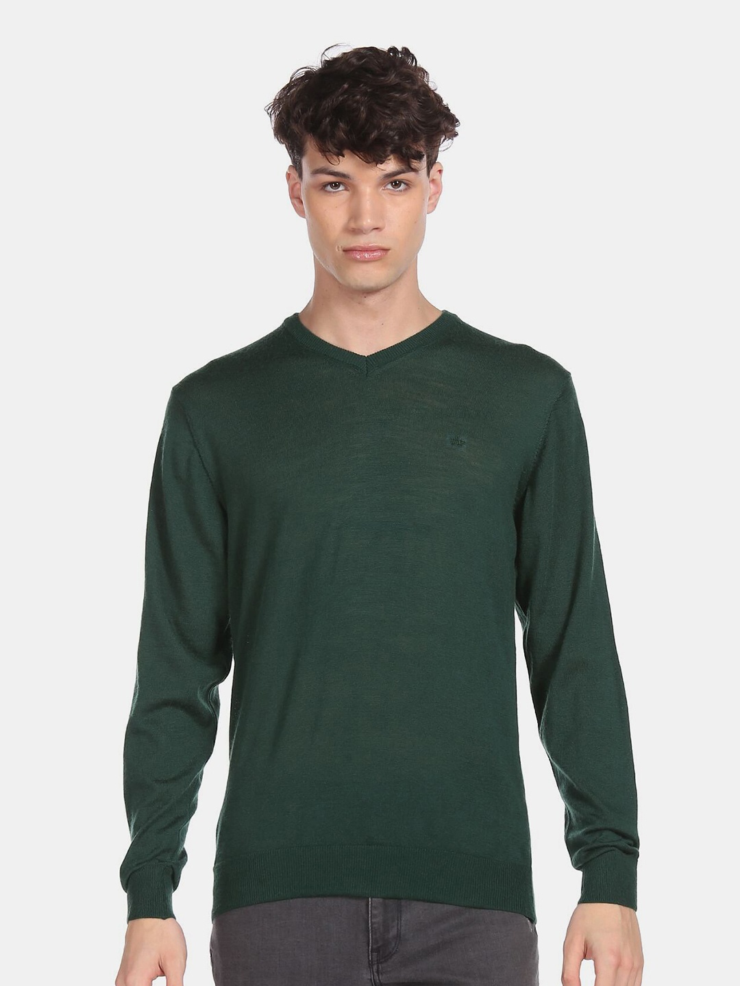 

Arrow Men Green Solid Pullover Woolen Sweater