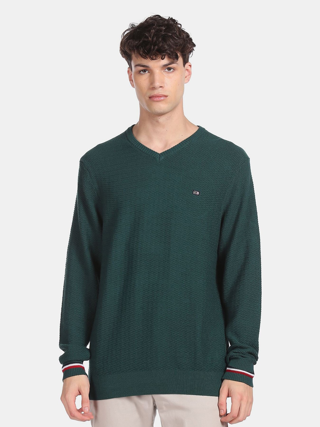 

Arrow Sport Men Green V-Neck Patterned Knit Pure Cotton Pullover Sweater