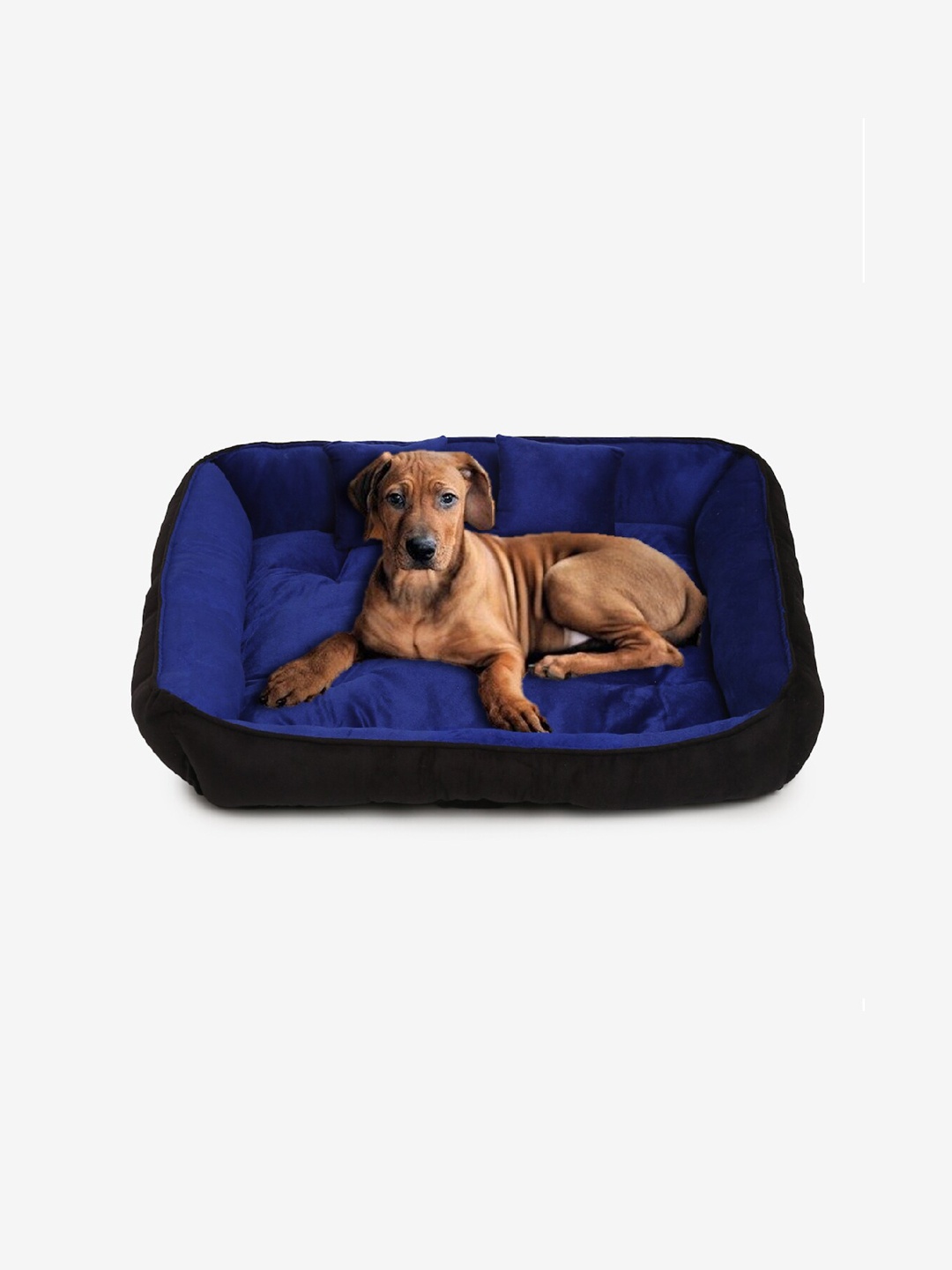 

WIGGLE TWIDDLE Blue & Black Solid Rectangular Pet Bed