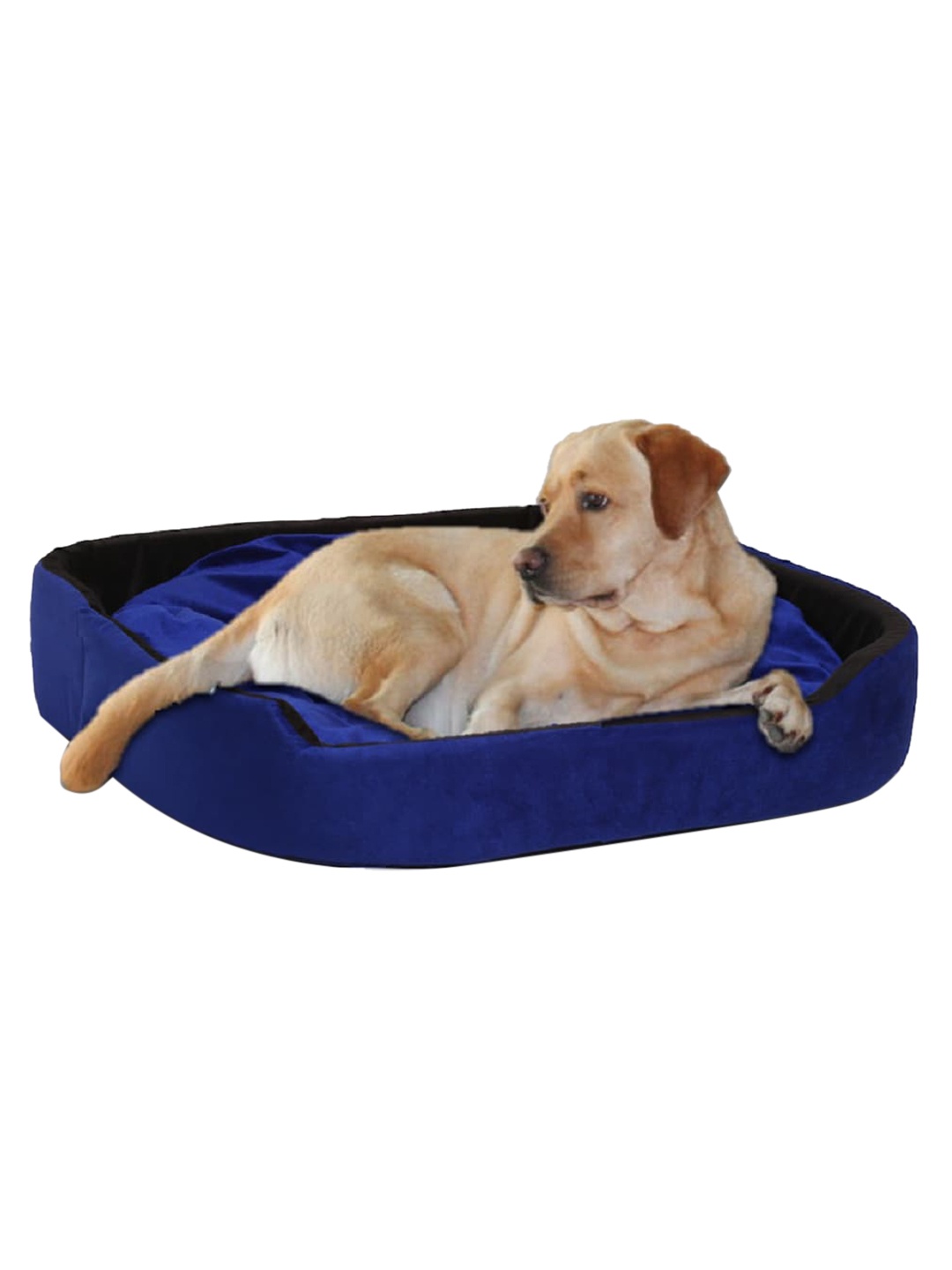 

WIGGLE TWIDDLE Blue & Black Solid Square Pet Bed