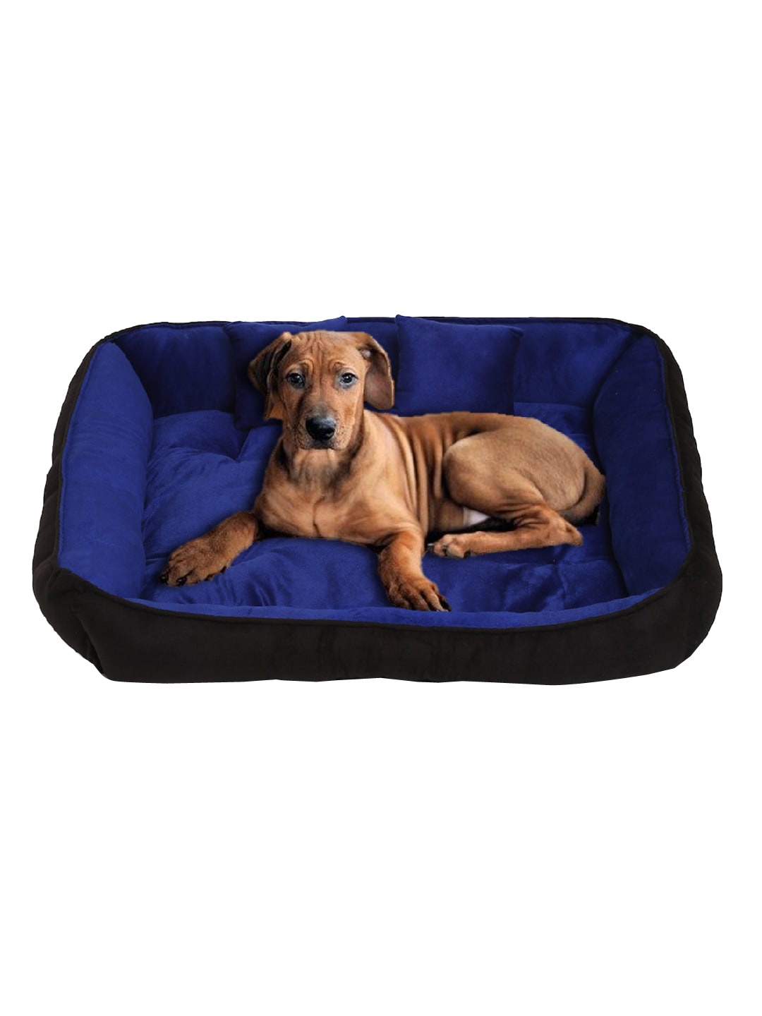 

WIGGLE TWIDDLE Blue & Black Solid Rectangular Chew Resistant Pet Bed with 2 Pillows