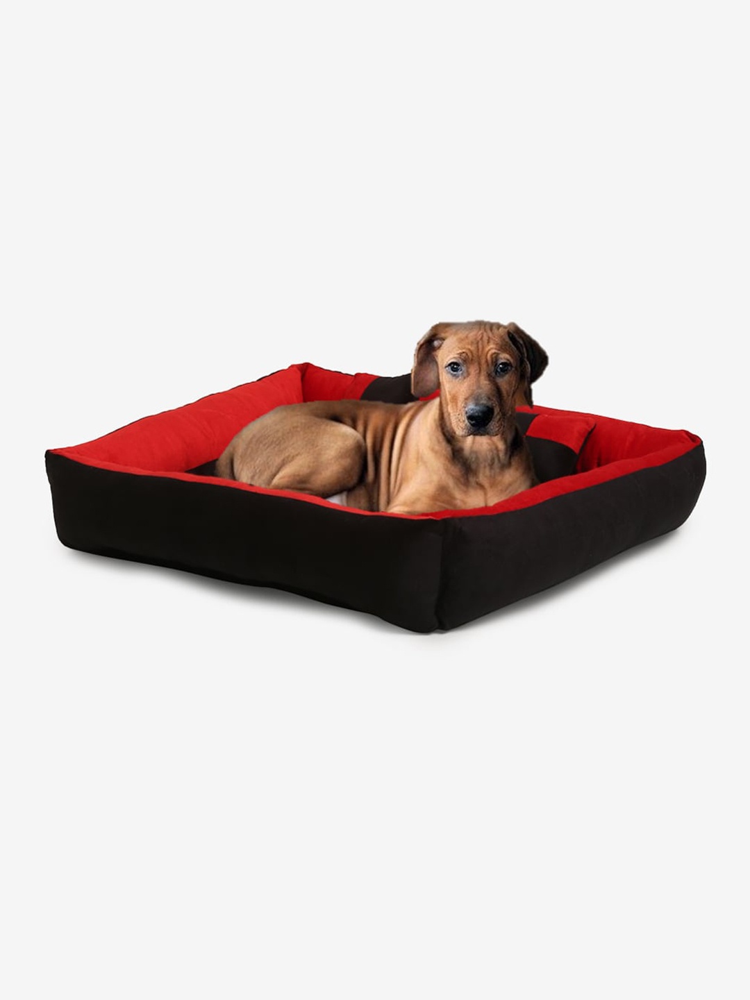 

WIGGLE TWIDDLE Red & Black Solid Rectangular Pet Bed