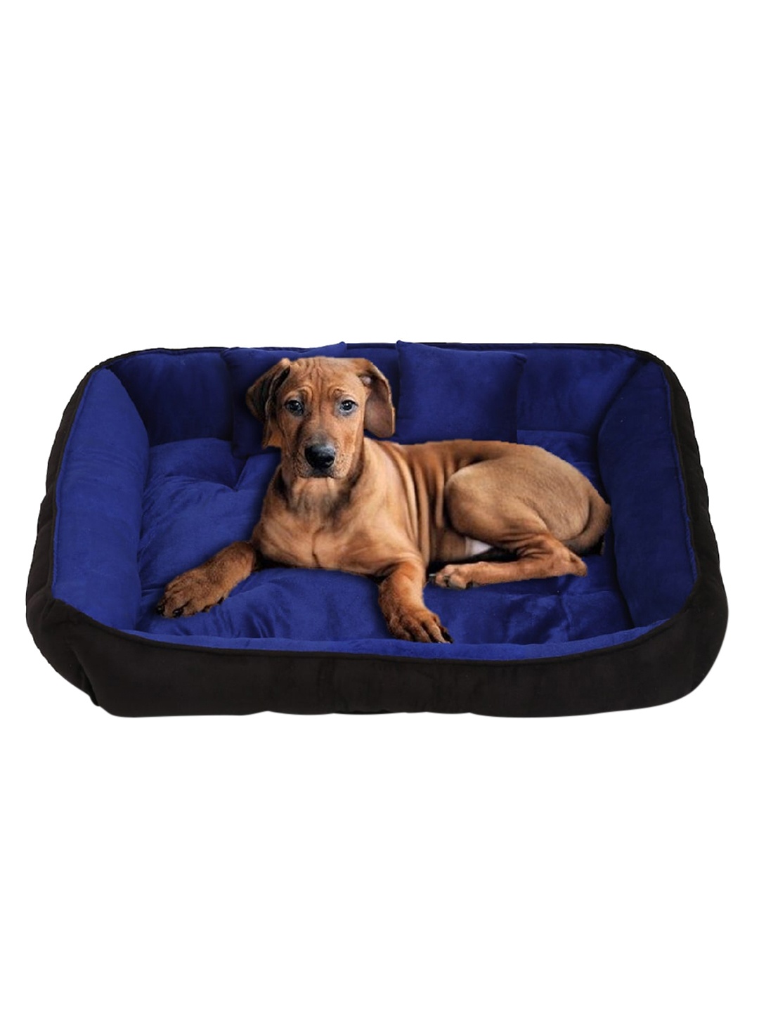 

Wiggle Twiddle Blue & Black Solid Rectangular Pet Bed