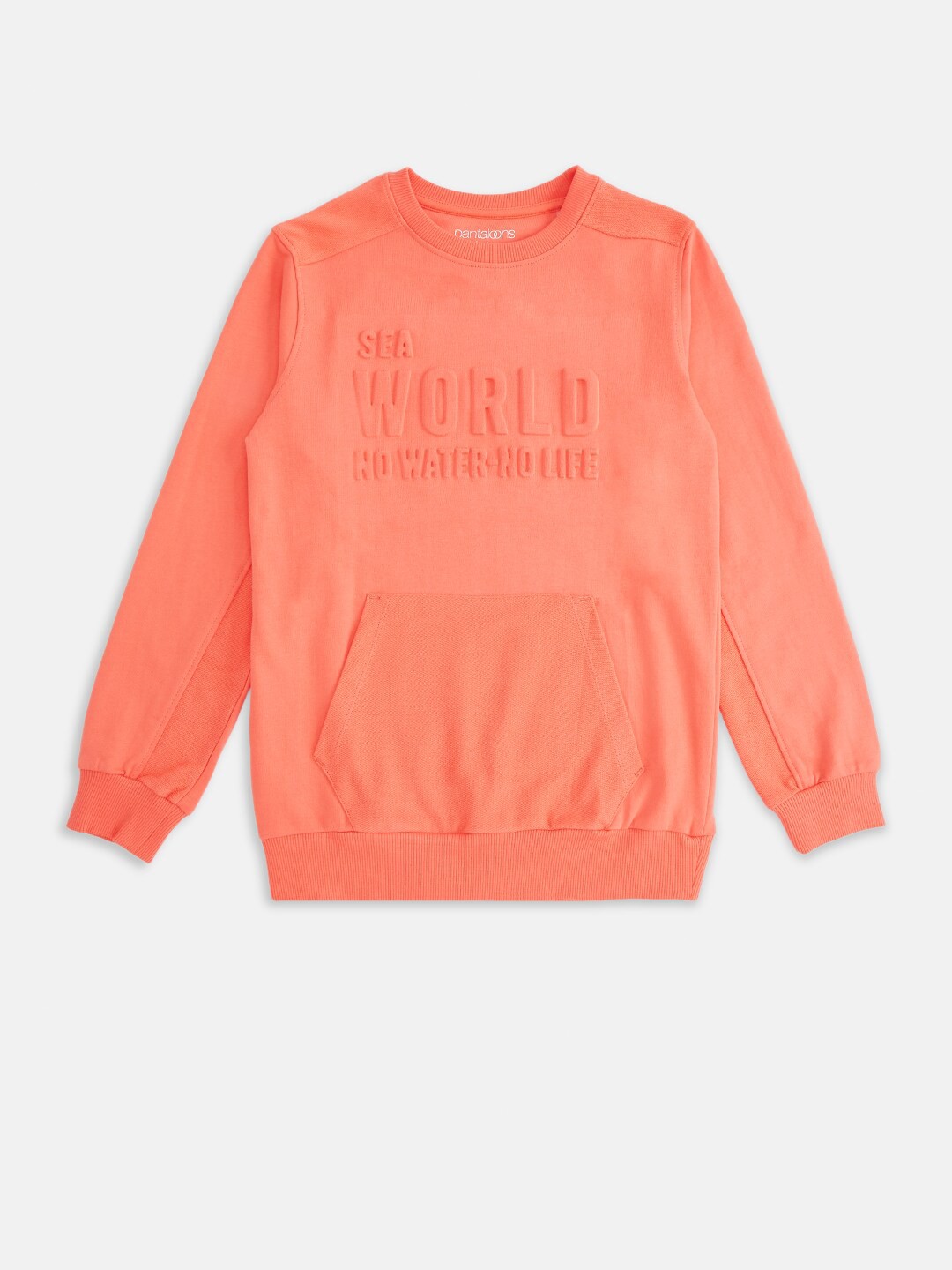 

Pantaloons Junior Boys Coral Sweatshirt