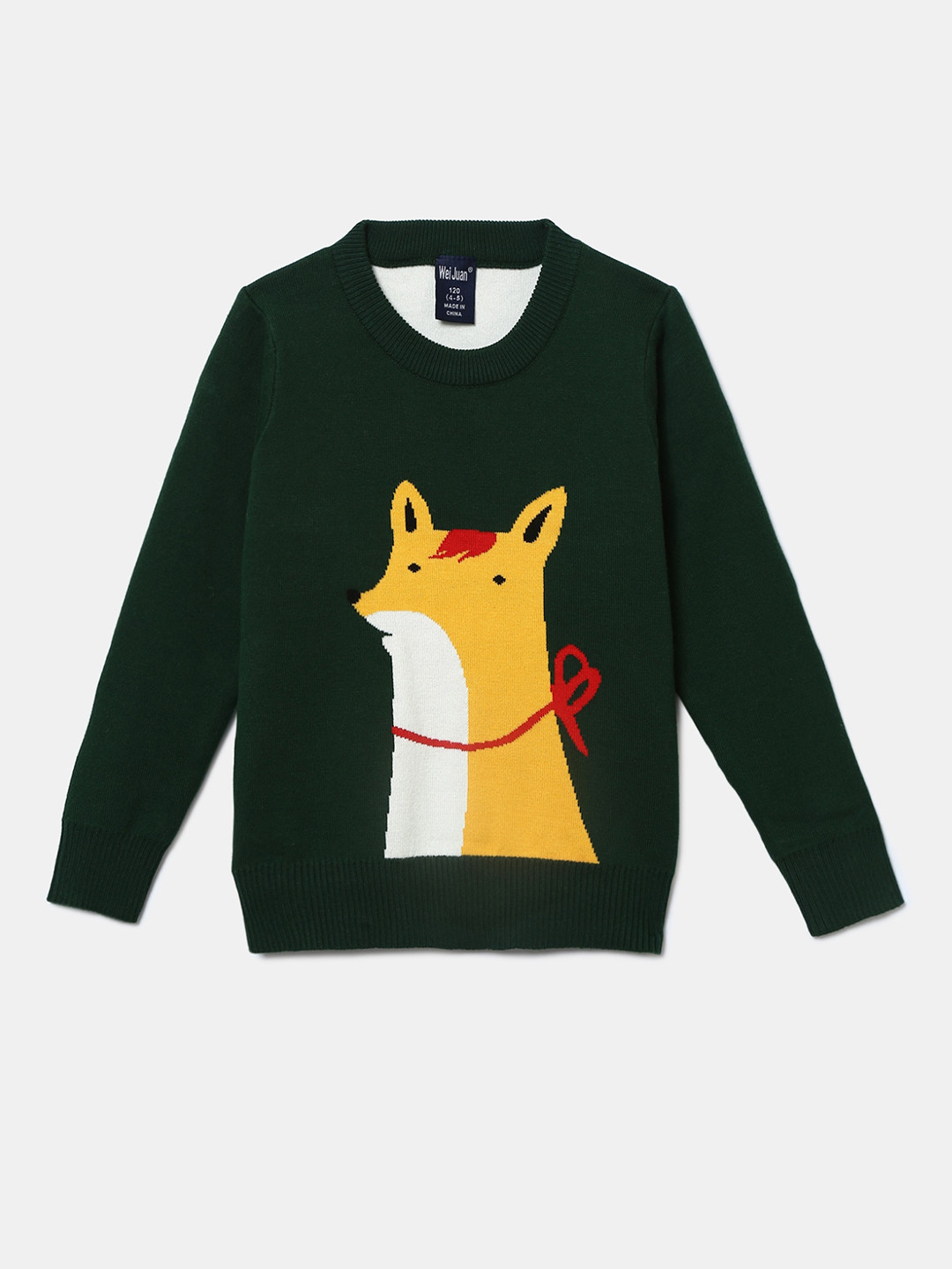 

Hopscotch Boys Green Printed Sweatshirt