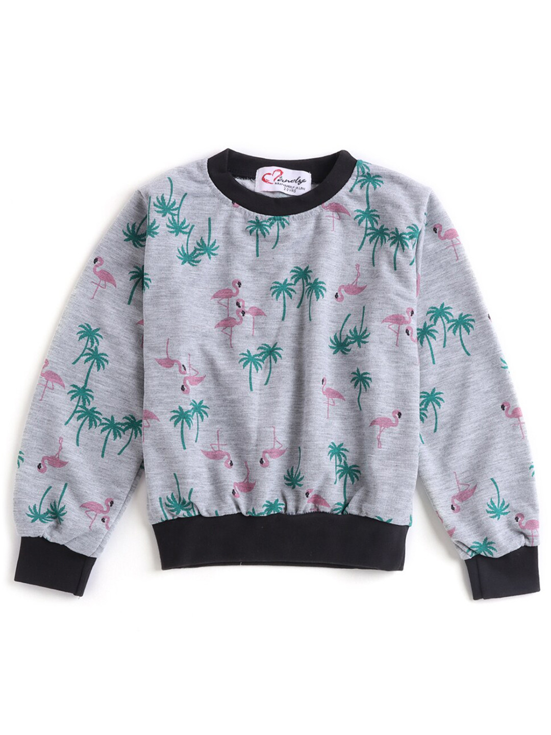 

Hopscotch Girls Grey Printed Sweatshirt