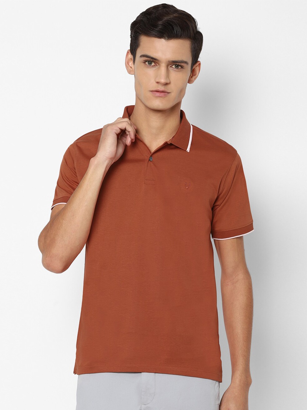 

Allen Solly Men Maroon Polo Collar T-shirt