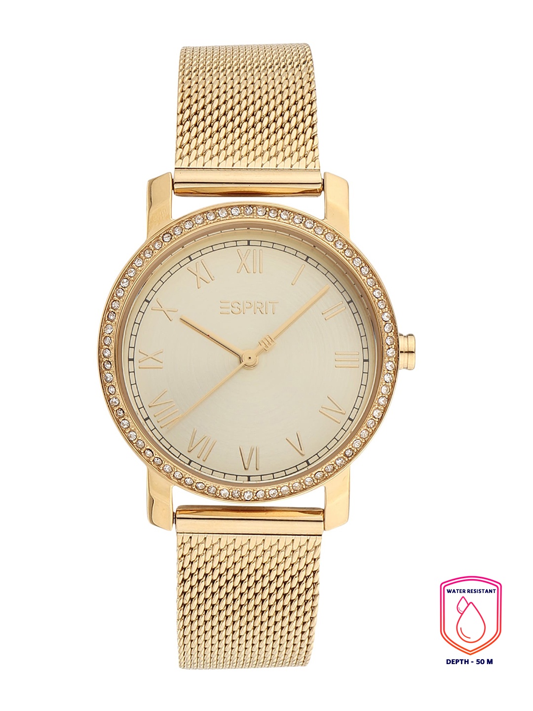 

ESPRIT Women Gold-Toned Dial Analogue Watch - ES1L282M0105