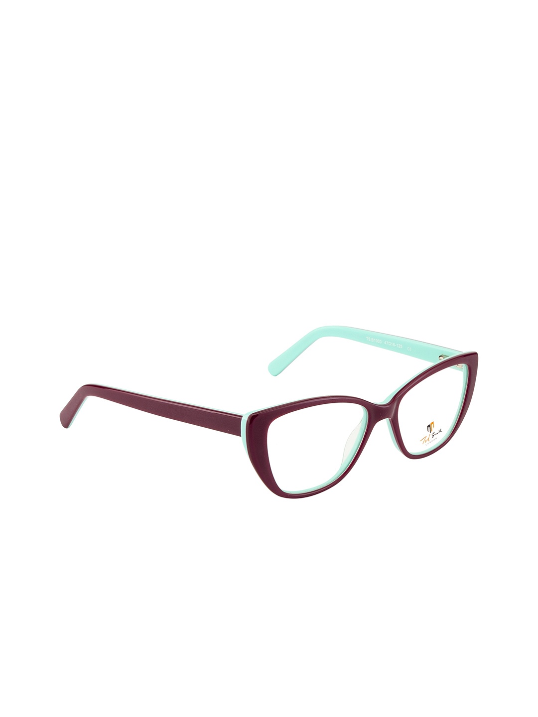 

Ted Smith Women Purple & Blue Full Rim Cateye Frames TSD-B1003_C3