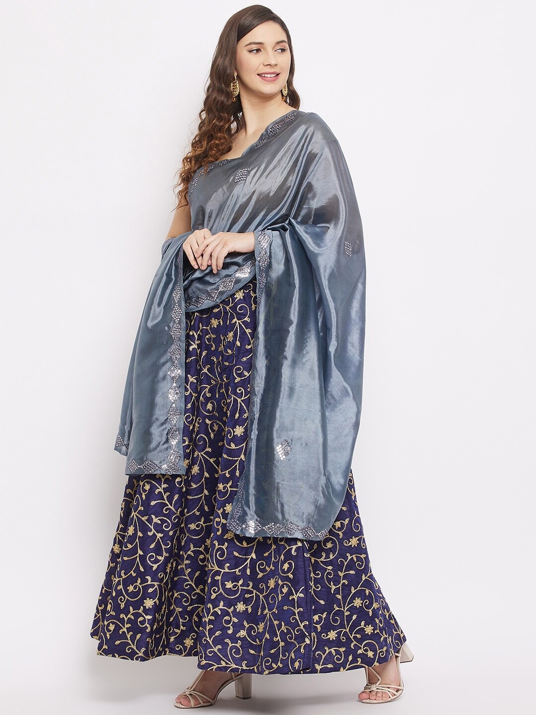 

Clora Creation Grey Ethnic Motifs Embroidered Dupatta with Mirror Work