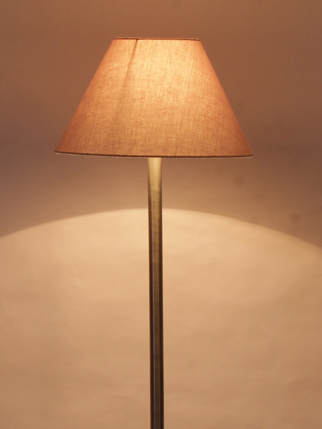 

Devansh Grey Steel Floor Lamp With Frustum Shade