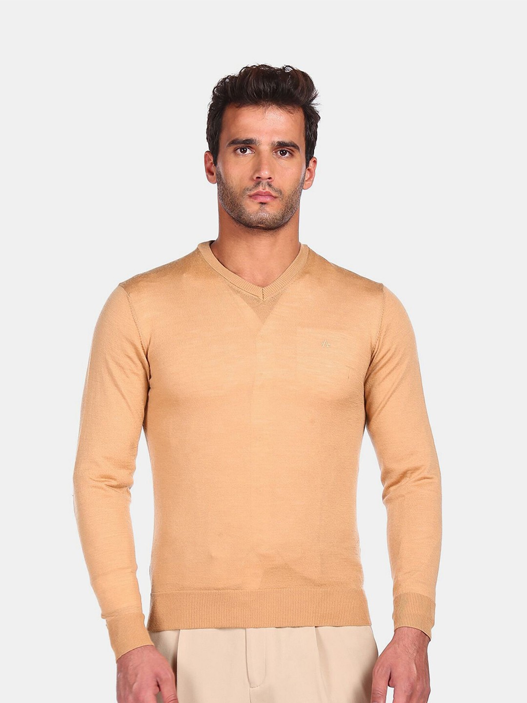 

Arrow Men Beige Pullover