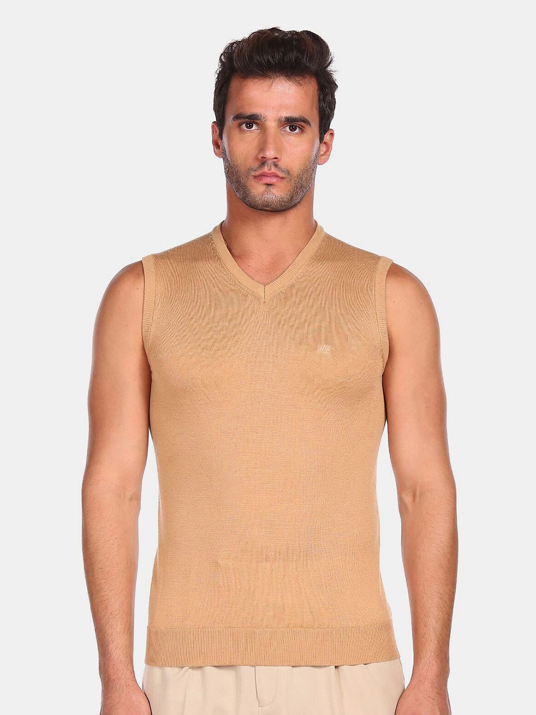 

Arrow Men Beige Sweater Vest