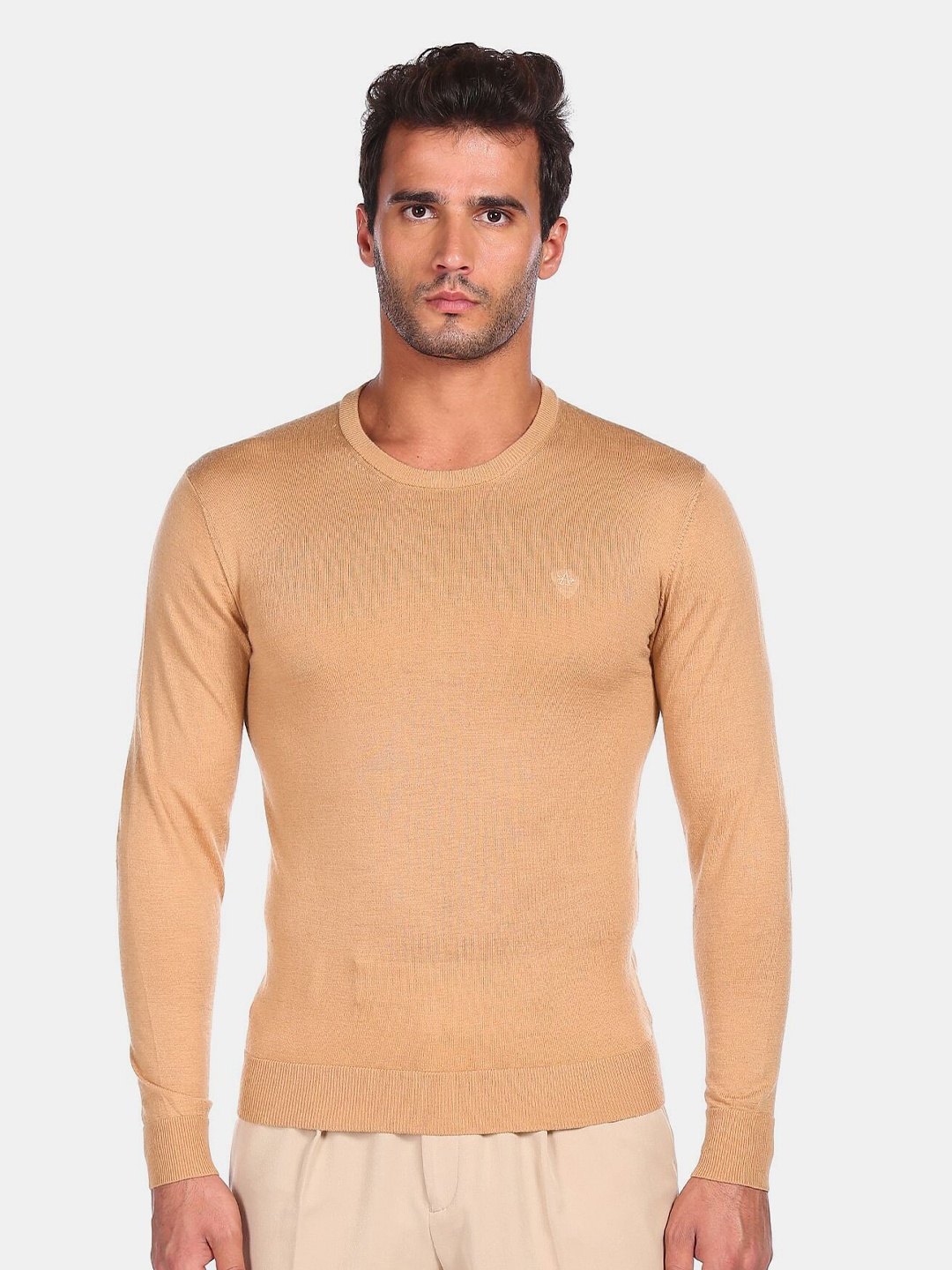 

Arrow Men Beige Pure Woolen Pullover