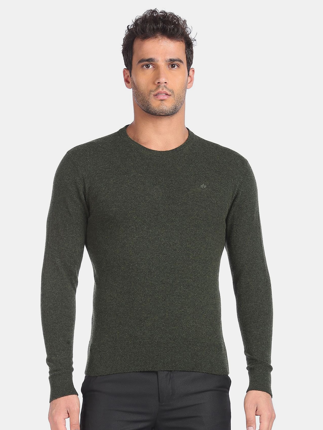 

Arrow Sport Men Green Pullover