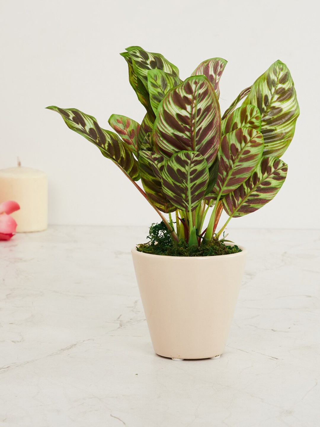 

Home Centre Green Artificial Potted Plant