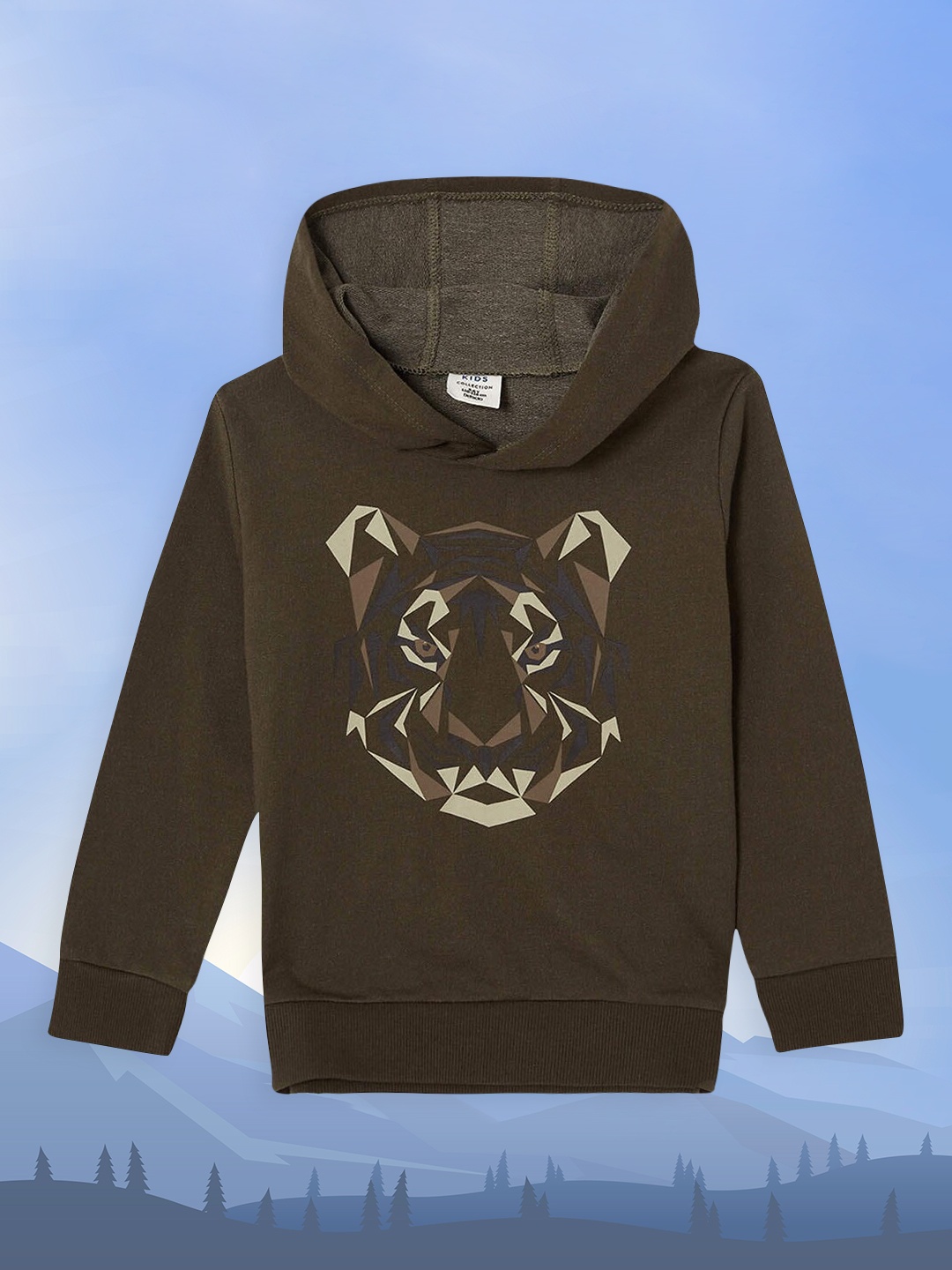 

DeFacto Boys Olive Green Printed Hooded Sweatshirt