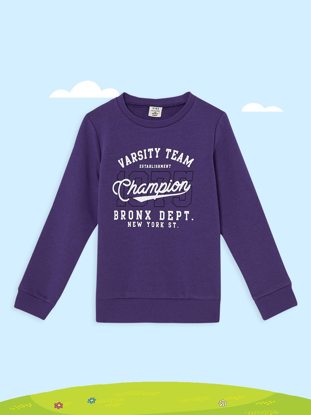 

DeFacto Boys Purple Printed Sweatshirt