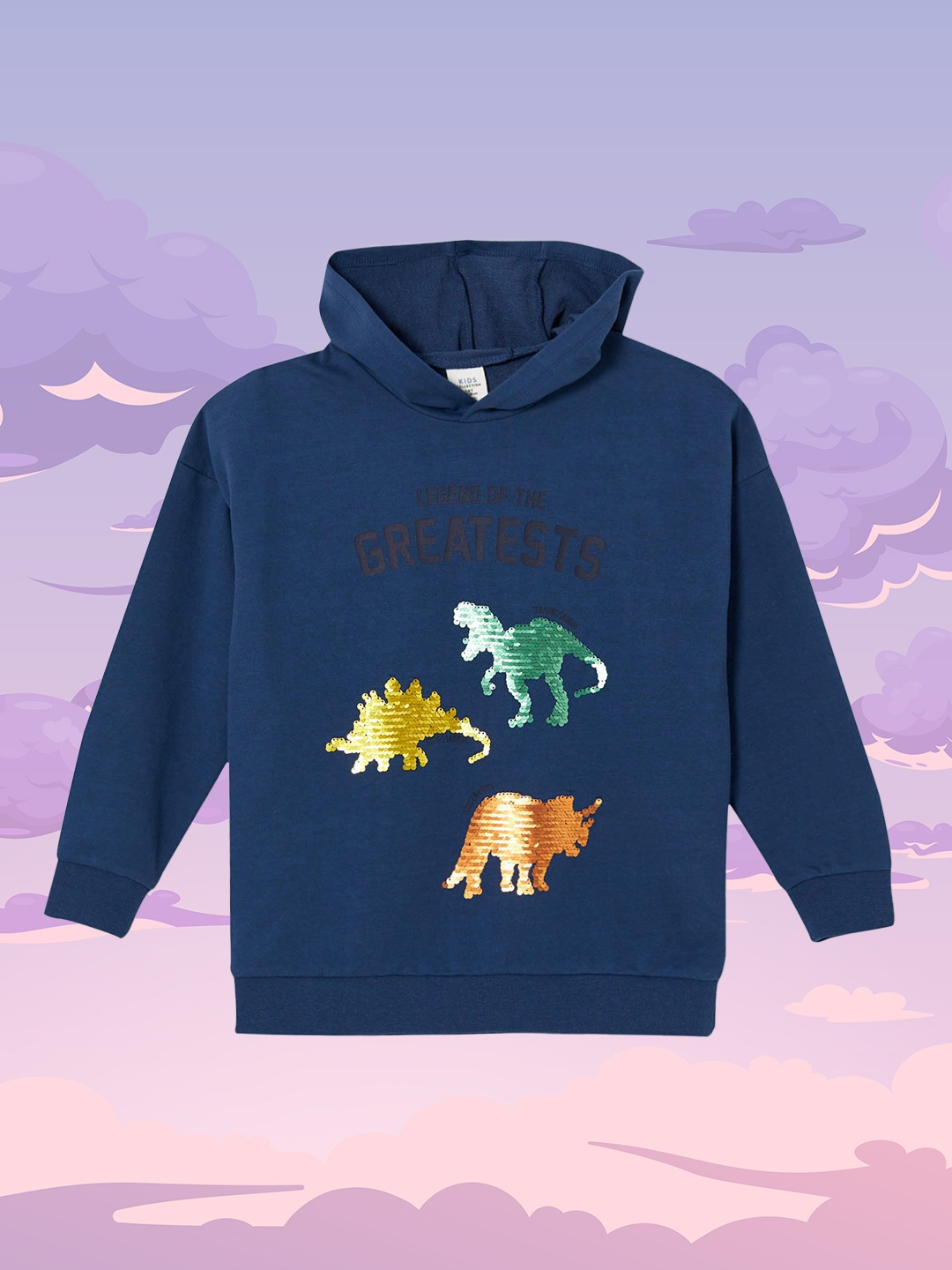 

DeFacto Boys Navy Blue Sequinned Hooded Sweatshirt