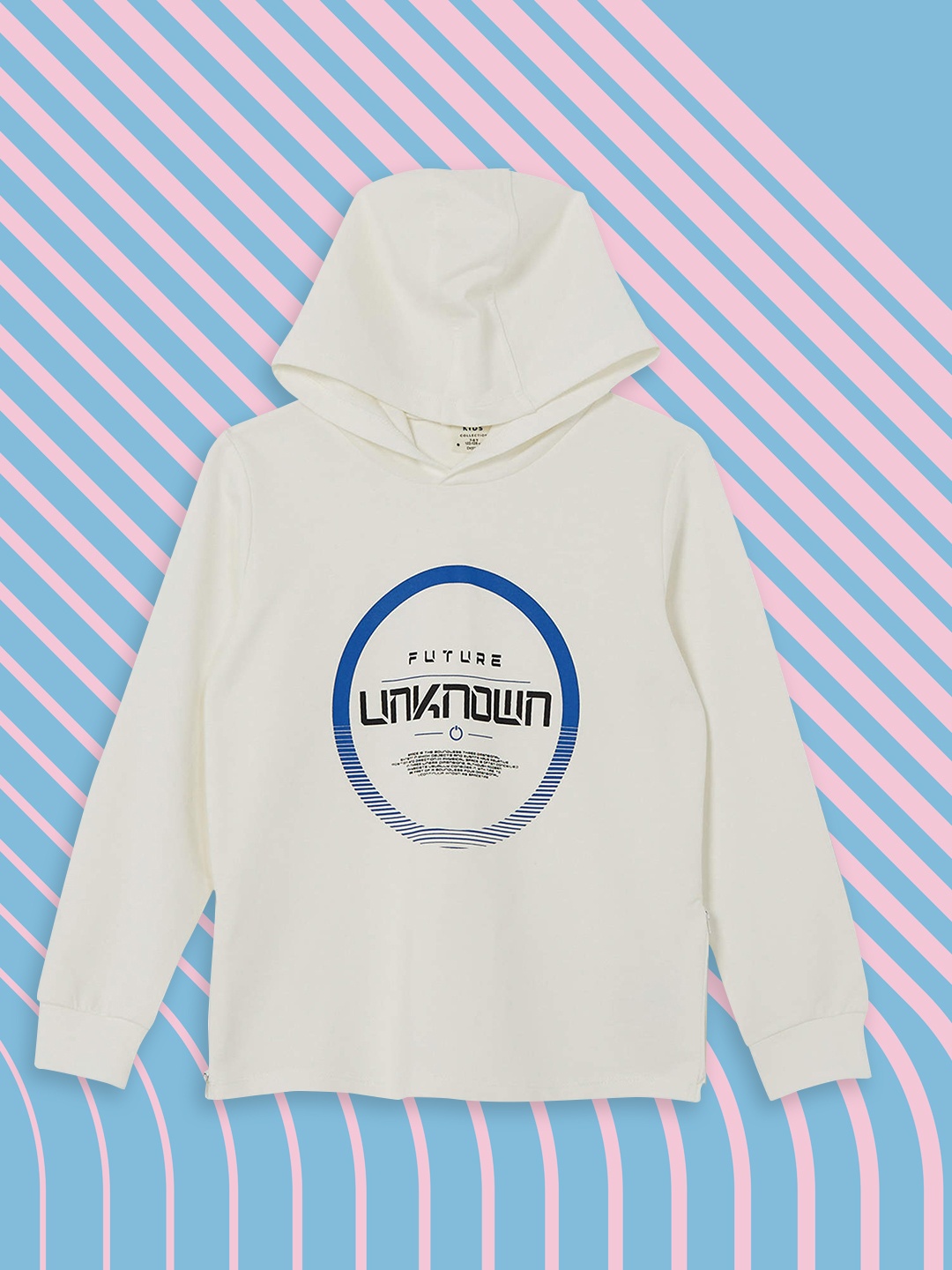 

DeFacto Boys Off White & Blue Printed Hooded Sweatshirt