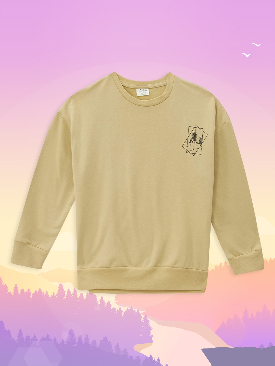 

DeFacto Boys Yellow Cotton Back Printed Sweatshirt